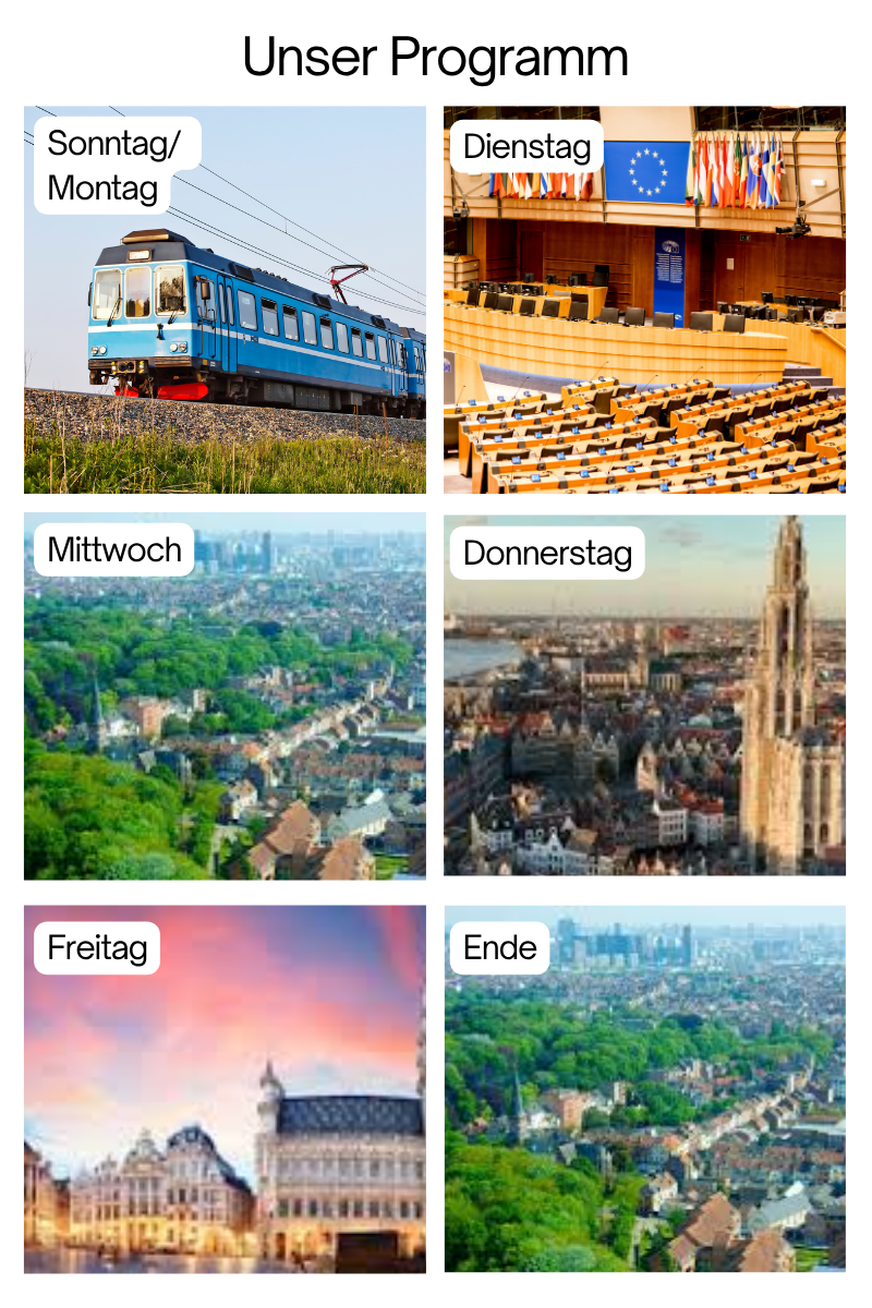Beschreibung des Bildes