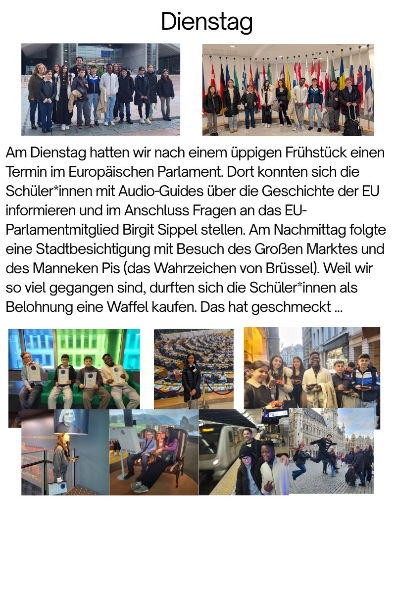 Beschreibung des Bildes