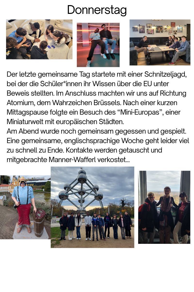 Beschreibung des Bildes