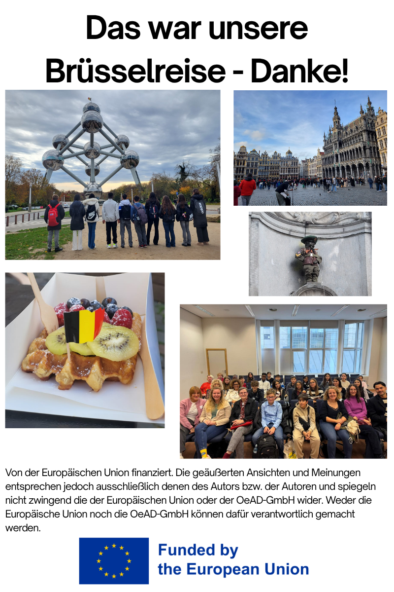 Beschreibung des Bildes
